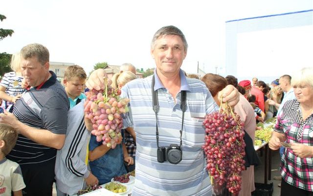 рис.6
