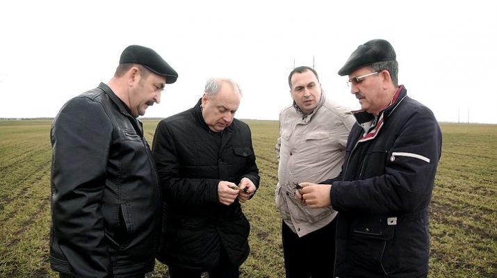 рис.2