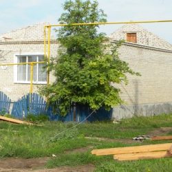 dscn3133 1