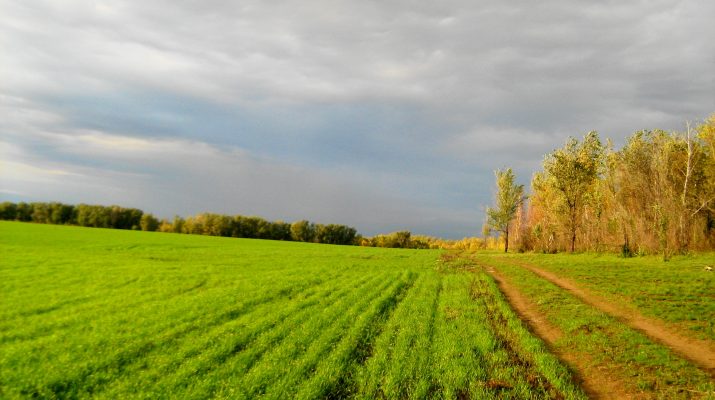 dsc00003